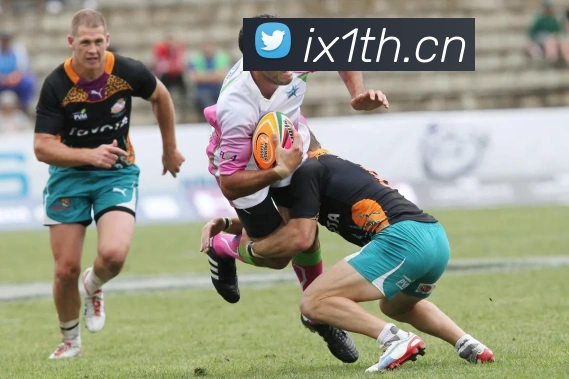 leyu乐鱼网址平台生态图